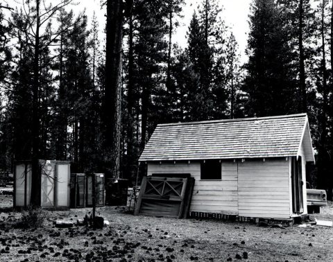 1963. The building used as a field laboratory by Charles Sartwell during 1963 for Ips oregonis studies at Pringle Falls…