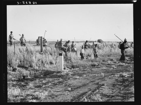 Untitled photo, possibly related to: Near Los Banos, California. Migratory agricultural workers, cotton hoers. Leave fi…