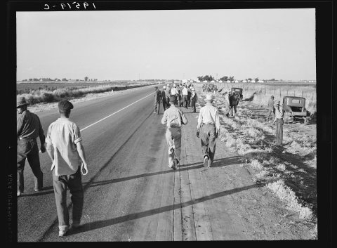 Near Los Banos, California. Migratory agricultural workers. Cotton hoers. Leave the field at the end of the day. Wages …