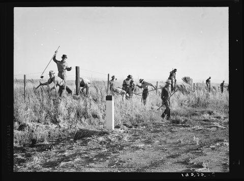 Near Los Banos, California. Migratory agricultural workers, cotton hoers. Leave field at the end of the day. Wages twen…