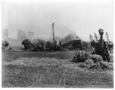 Bean threshing operation on the Centinela Ranch (later Inglewood), 1903 (CHS-2272)