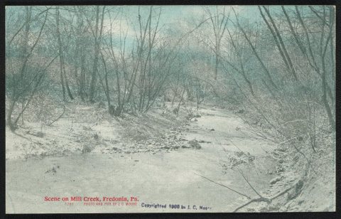 Scene on Mill Creek