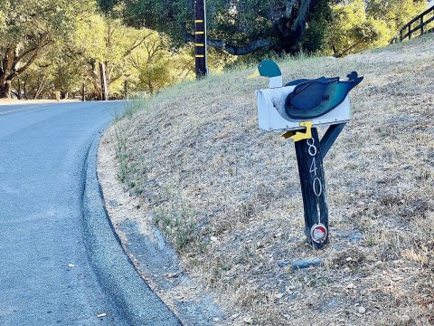 Mallard mailbox
