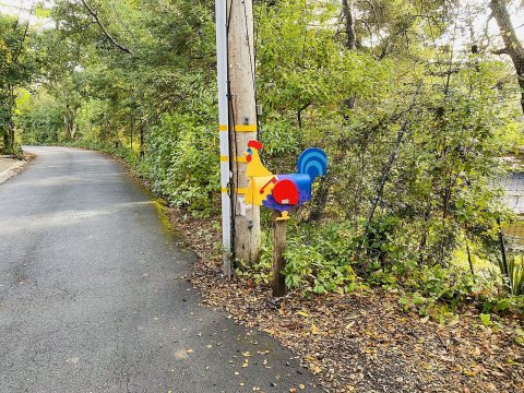 Rooster mailbox