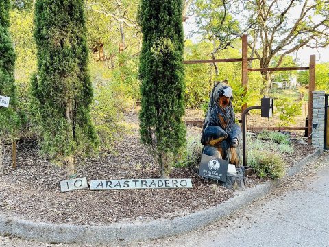 Masked bear on Arastradero Rd
