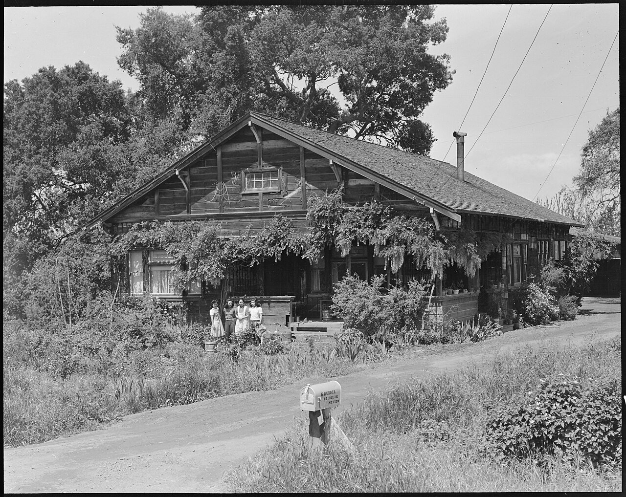 Mountain View, California. Farm house in rural section where farmers of Japanese ancestry raised tr