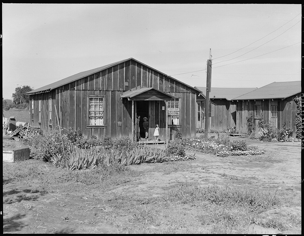 Mountain View, California. Typical California ranch houses of residents of Japanese ancestry who ar