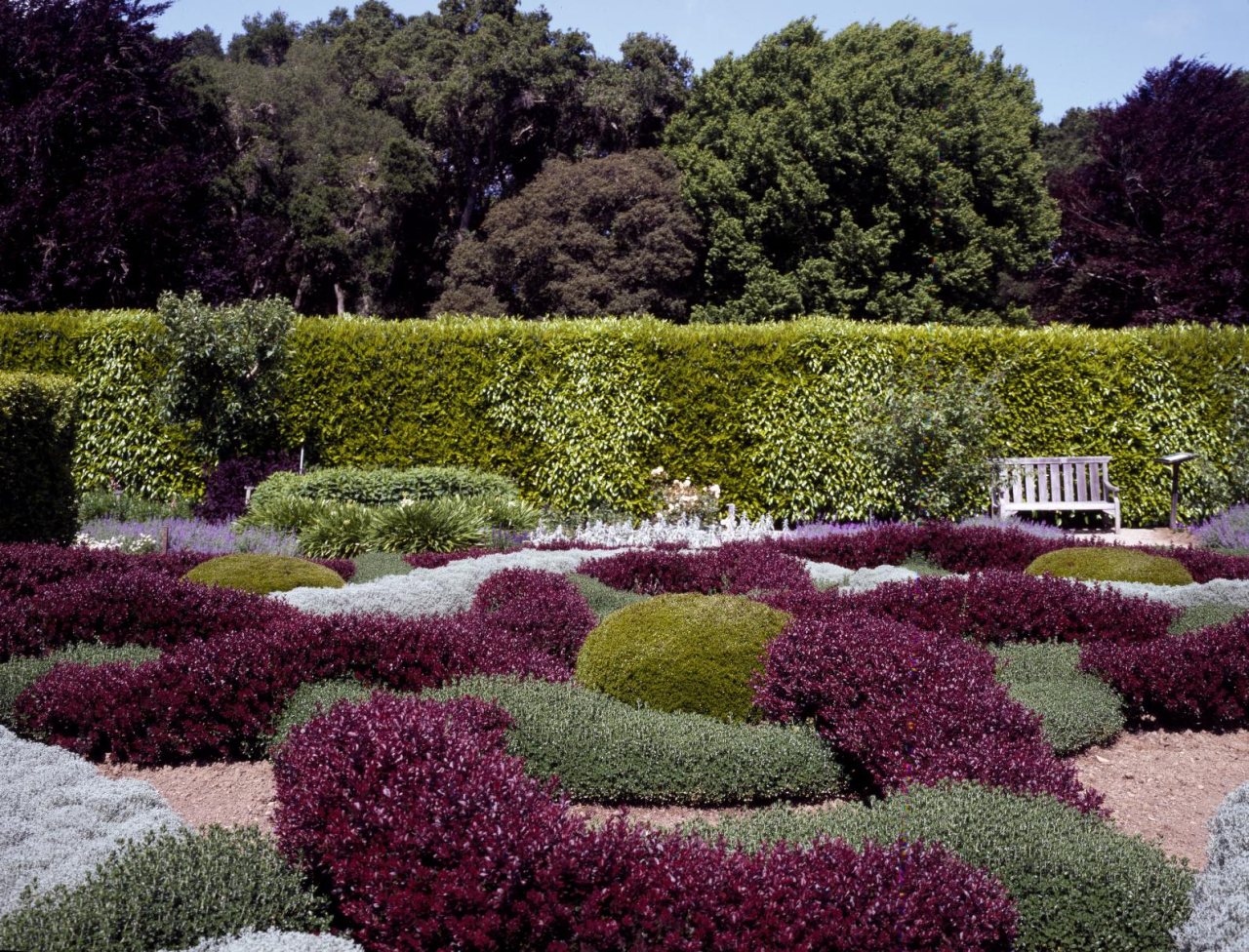 Garden at Filoli, a country estate south of San Francisco, owned by the National Trust for Historic Preservation