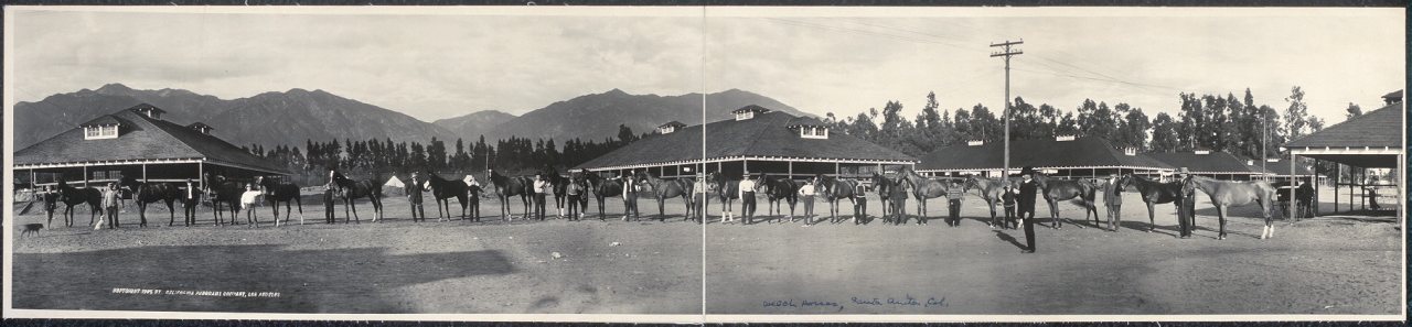 Welch horses, Santa Anita Race Track