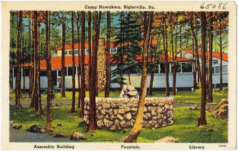 Camp Nawakwa, Biglerville, Pa (65086)