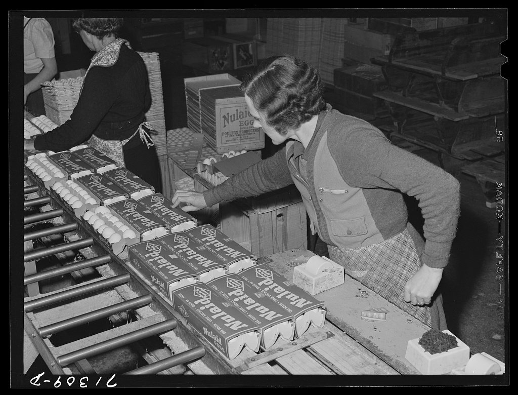 Petaluma, Sonoma County, California. Packing eggs