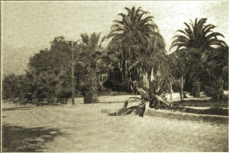 The Monrovia Clinic, Monrovia, Calif. (California & Western Med., 1925)