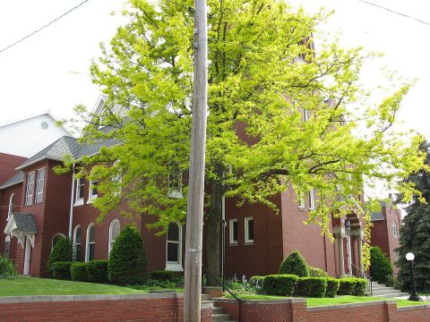 1787 - Roaring Spring - Bare Memorial Church of God