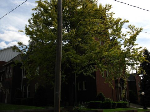 1788 - Roaring Spring - Bare Memorial Church of God