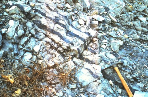 Chert beds EverettPA