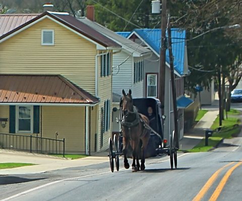 Alternative Transportation