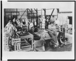 Packing lettuce in the Imperial Valley near El Centro, Calif