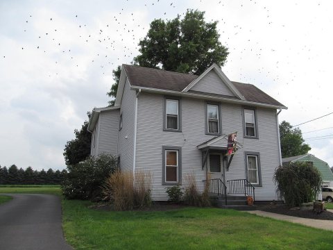 Conniquenessing, Pennsylvania