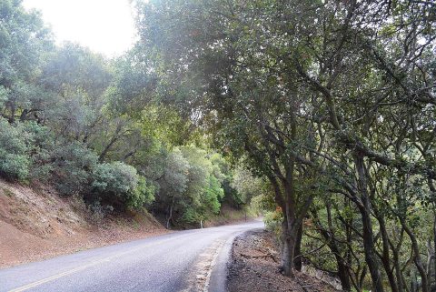 Carquinez Scenic Drive
