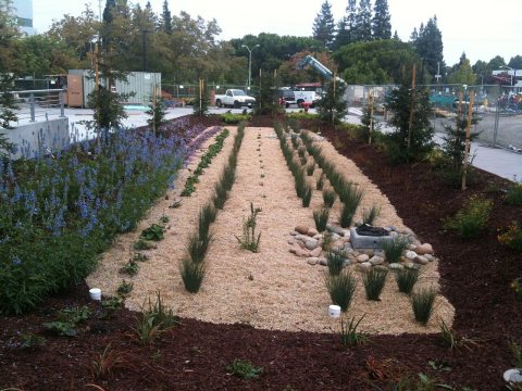 2012-12-04 Stormwater Bio-Treatment Area View4