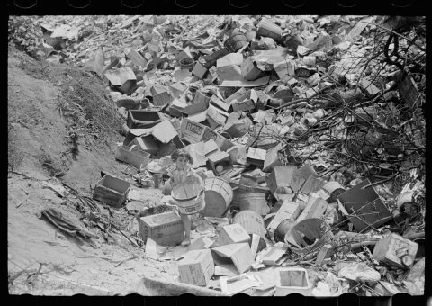 Children at city dump