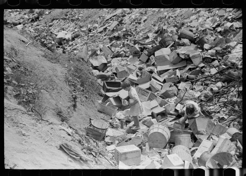 Children at city dump