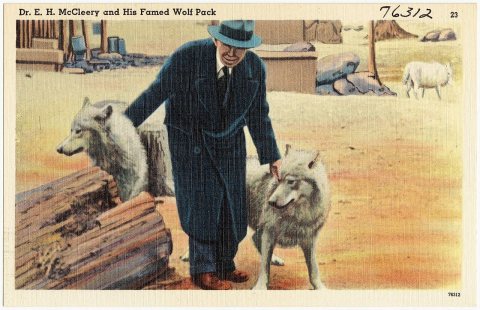 Dr. E. H. McCleery and his famed Wolf pack (76312)