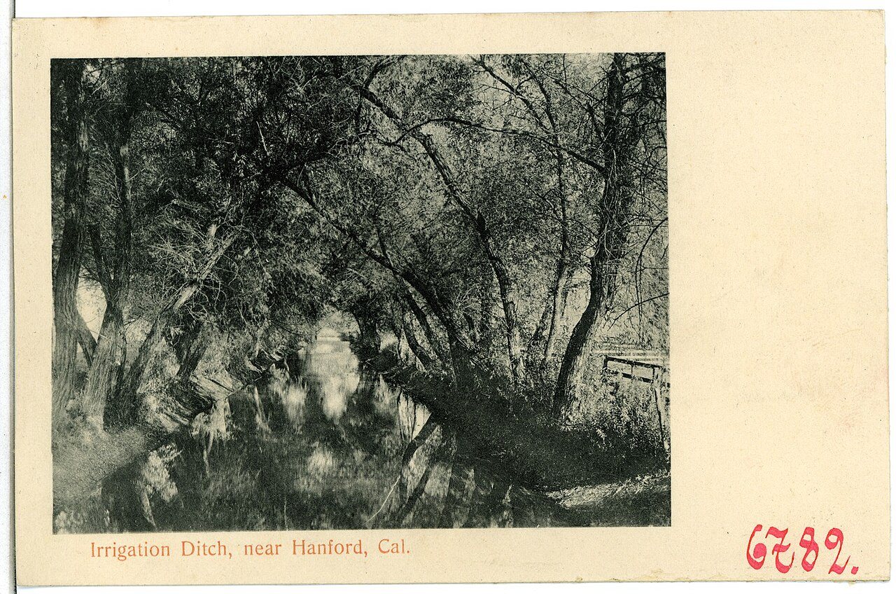 06782-Hanford-1905-Irrigation Ditch, near Hanford, Cal.-Brück & Sohn Kunstverlag