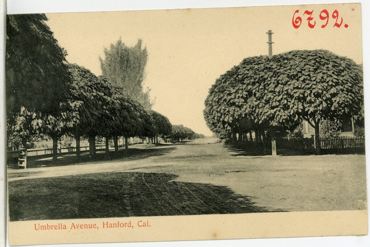 06792-Hanford-1905-Umbrella Avenue Hanford-Brück & Sohn Kunstverlag