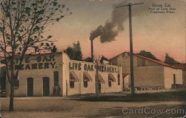 Live Oak Creamery postcard