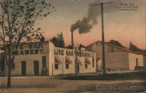 Live Oak Creamery postcard