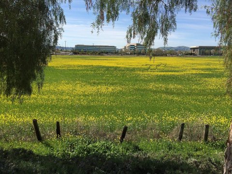 Green Yellow And Blue
