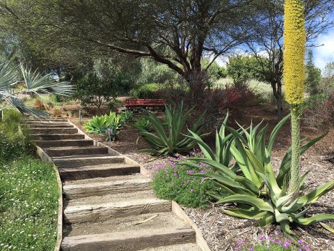 Niguel Botanical Preserve