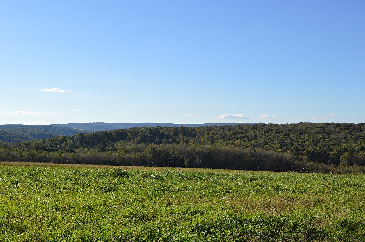 Callimont Gameland Road