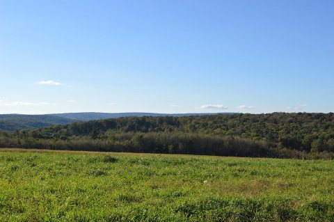 Callimont Gameland Road