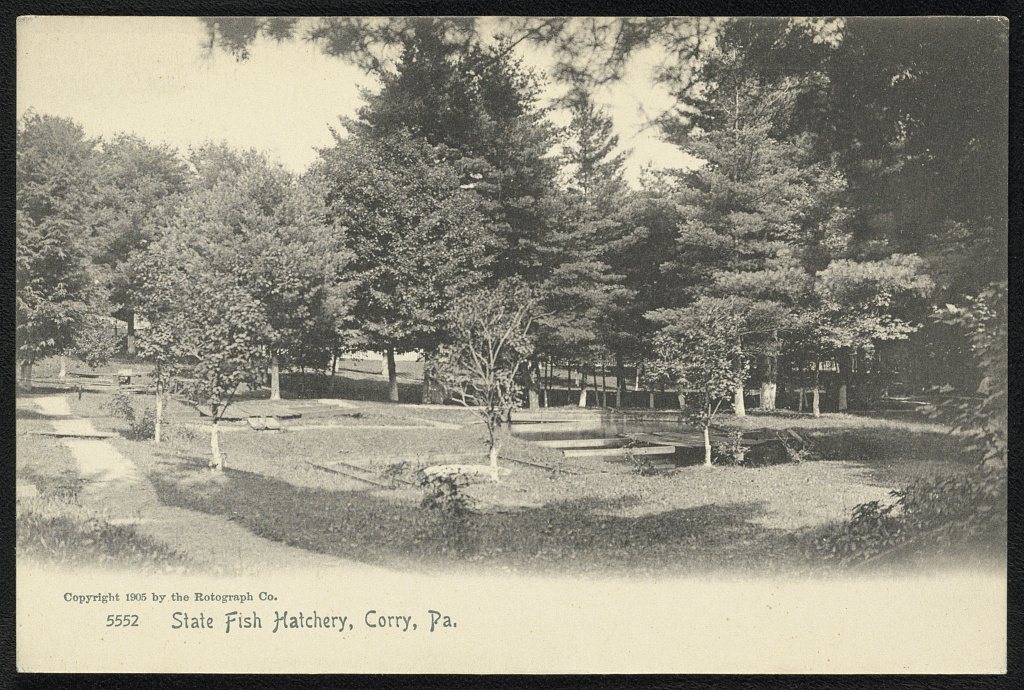 State Fish Hatchery