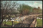 View of "Duck Farm," Allentown, Pa