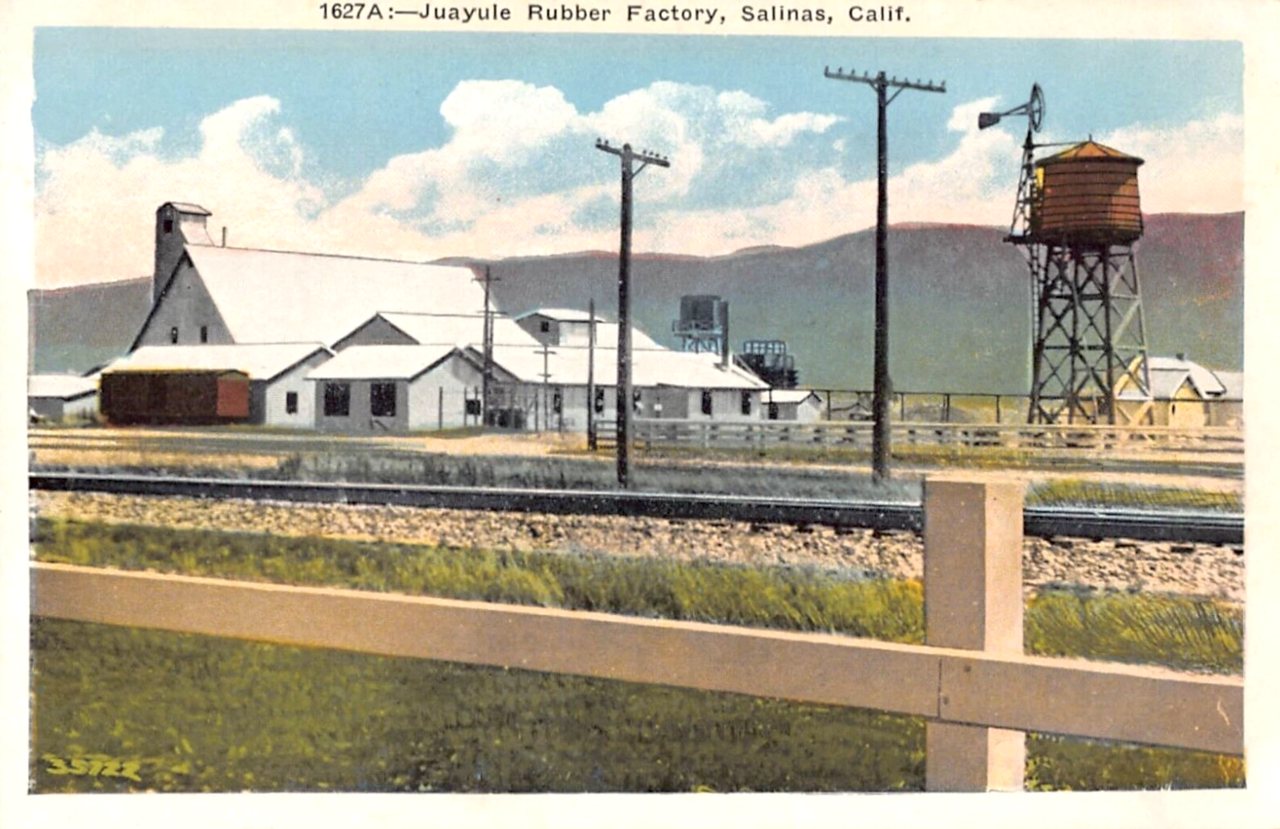 Juayule Rubber Factory