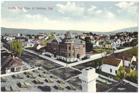 Bird's Eye View of