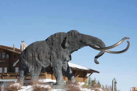 Woolly Mammoth sculpture