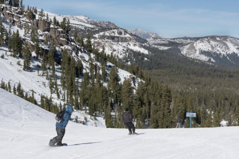 Snowboarders