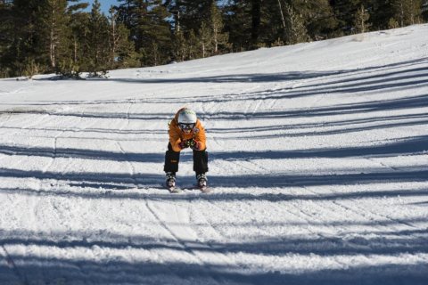 Skier