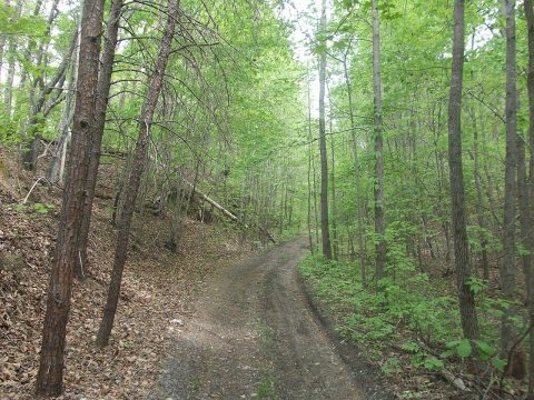 West of Smyrna, SC - Triple C Rail Trail