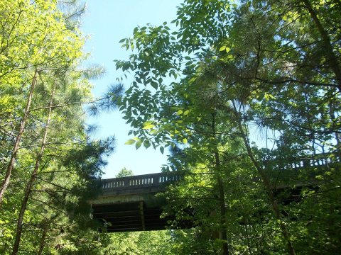 Triple C Rail Trail passing under SC Hwy 97