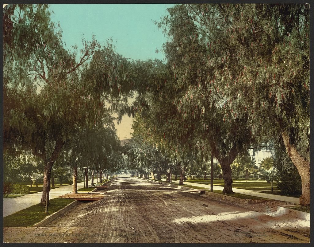 Marengo Avenue