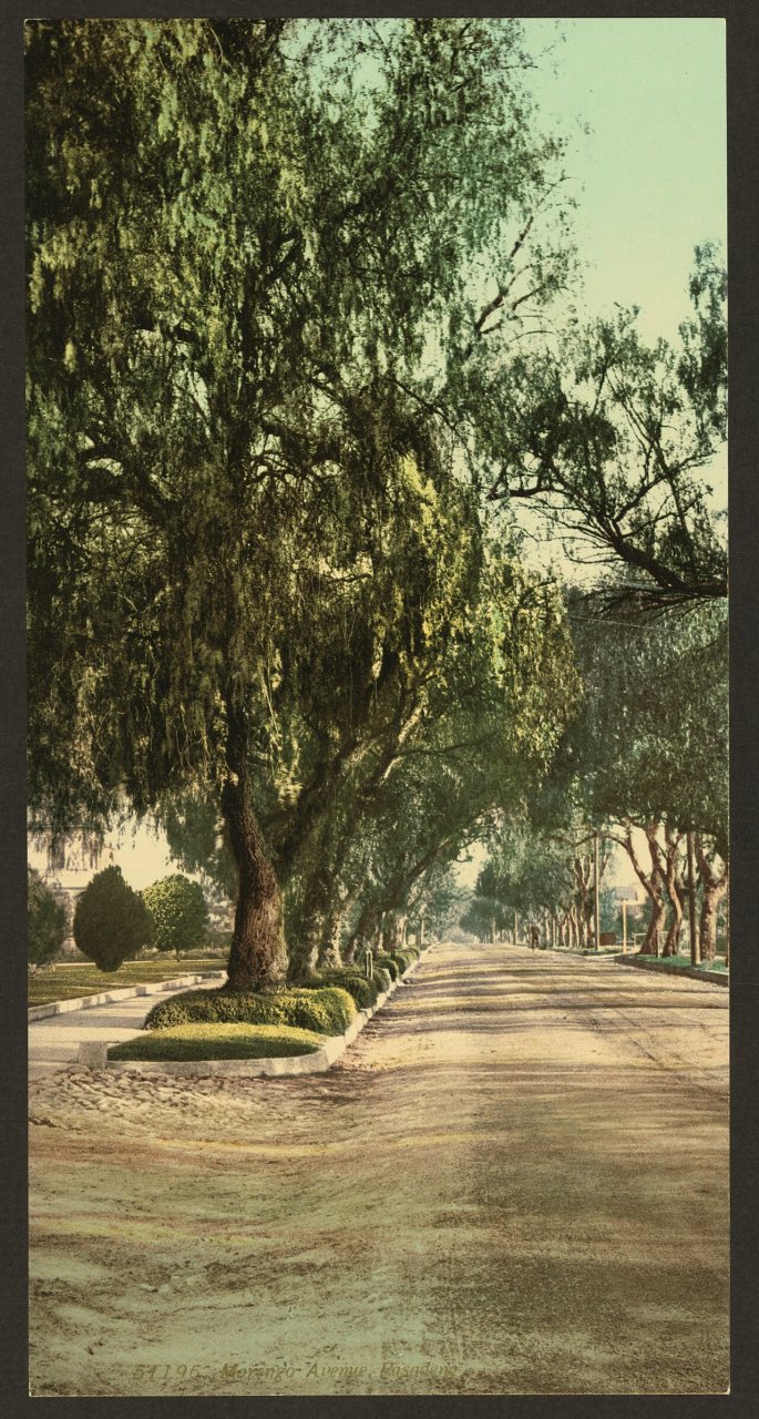 Marengo Avenue
