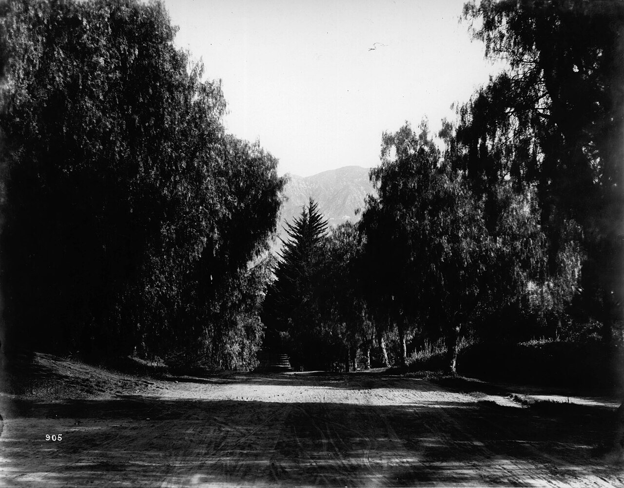 Orange Grove Avenue in Pasadena (CHS-905)