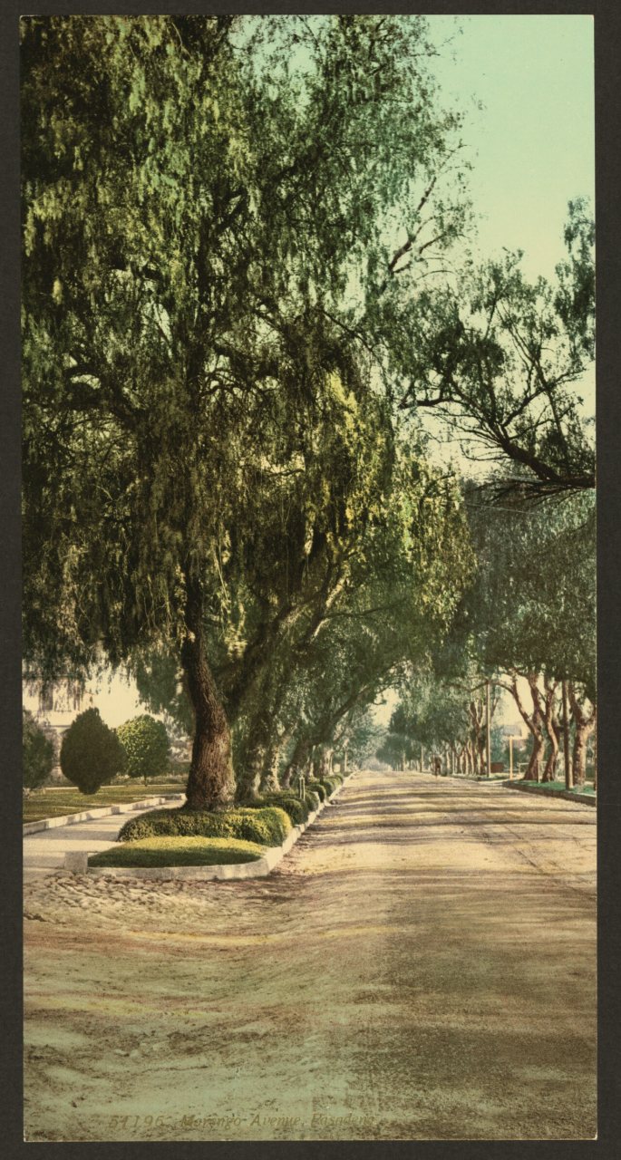 Marengo Avenue