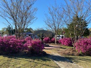 Bethune Community Park
