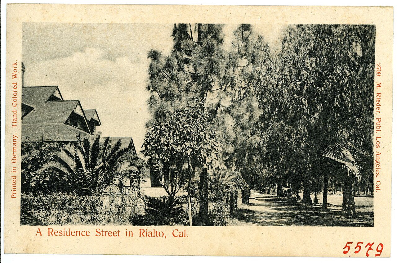 05579-Rialto-1904-A Residence Street in Rialto Cal.-Brück & Sohn Kunstverlag